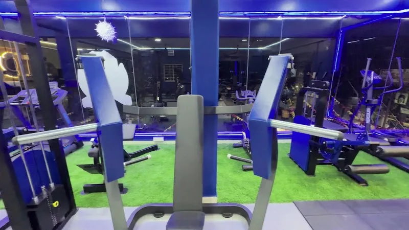 Inside Royal Premium Fitness — photo 00